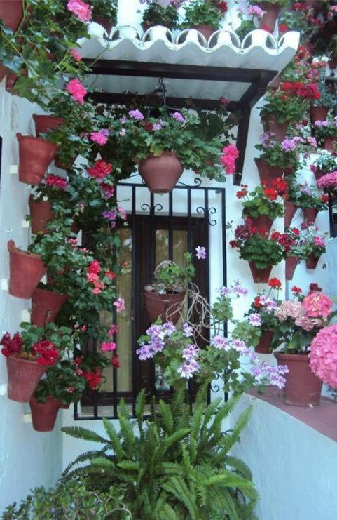 Hostal Los Claveles Baena Buitenkant foto